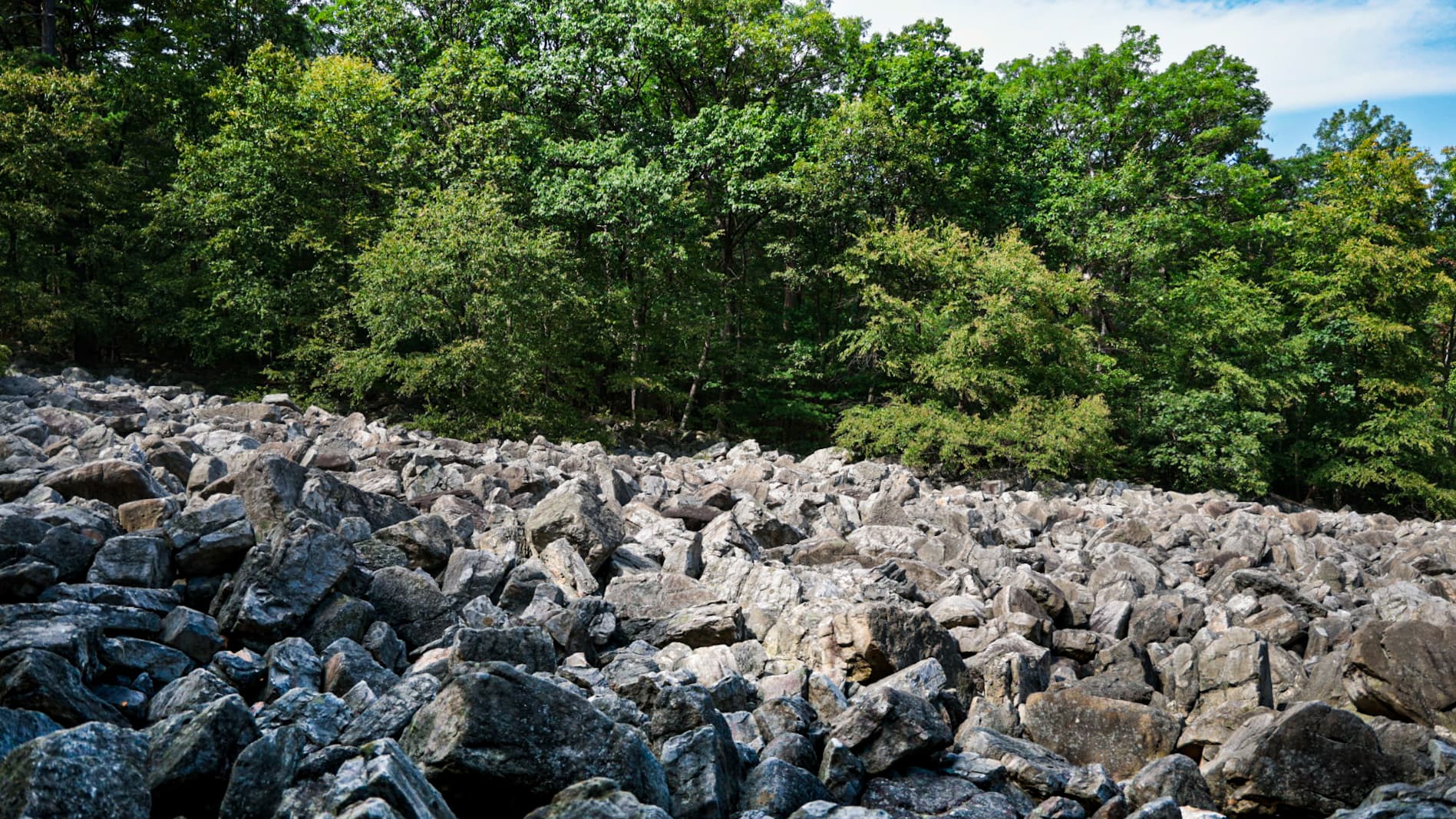 Rock Cascade in Forest